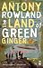The Land of Green Ginger (Salt Modern Poets)