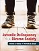 Juvenile Delinquency in a Diverse Society