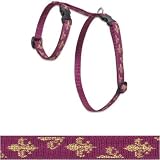 Royal Gold 1/2 in H-Style Harness (12-20in)