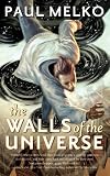 The Walls of the Universe