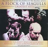 A Flock Of Seagulls