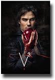 The Vampire Diaries Poster - TV Show Promo Flyer - 11 X 17 - 3rd Season Damon A