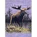 Luxury Plush Moose G530 Queen Mink Blanket