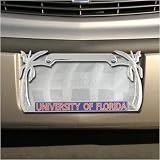 Florida Gators Palm Tree License Plate Frame