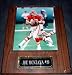 NFL Star Joe Montana Autographed Photograph On A Plaque (Sports Memorabilia)