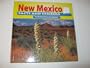 New Mexico: Facts and Symbols (The States and Their Symbols)