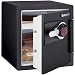 Sentry Safe Electronic FIRE-SAFE - Model DS3607