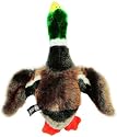 AKC Classic Plush Mallard, Large