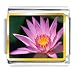 Jewelry : Yellow And Pink Flower Italian Charms Bracelet Link