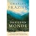 Dreizehn Monde: Roman