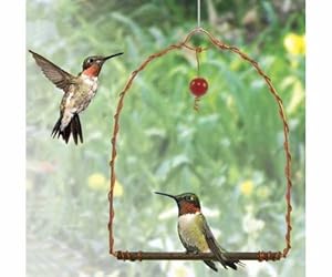 Songbird Essentials Copper Hummingbird Swing