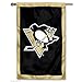 Pittsburgh Penguins Double Sided Applique Flag