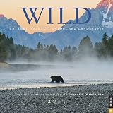 Wild 2013 Wall Calendar: Untamed Animals, Untouched Landscapes