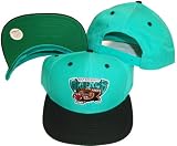 Vancouver Grizzlies Teal/Black Two Tone Snapback Adjustable Plastic Snap Back Hat / Cap