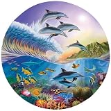 Dolphin Spotting 500 pc