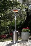 Well Traveled Stainless Steel Standard Patio Heater