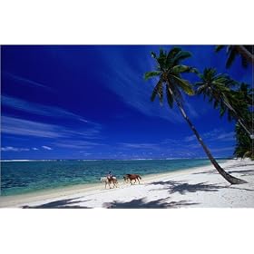 photographie Riding horses along the palm fringed beach at Tambua Sands Resort, Coral Coast. est ...