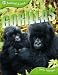 Animal Lives: Gorillas (QED Animal Lives)