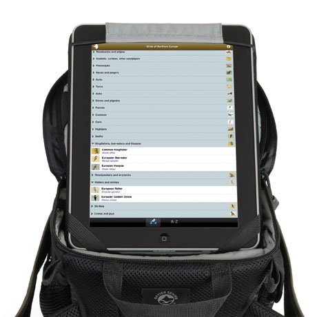 Lowepro LP36356 Field Station Beltpack - Dark Olive