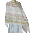 The Shawl Antique Kashmir Sozuni Embroidery Pattern Wool 28 x 75 inches (ebsp015)