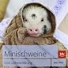 Minischweine: Eine Liebeserkl�rung