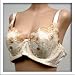  : Venus Beige Memory Foam Pad Full Coverage Bra #3006 40C