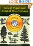 Forest Plant and Animal Illustrations CD-ROM and Book (Dover Electronic Clip Art)
