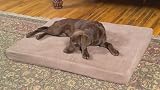 Hill & Dale 30x40 Memory Foam Pet Bed