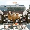 Wilco [The Album]