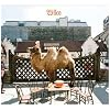 Wilco [The Album]