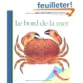 Le bord de la mer