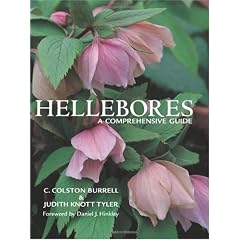 Hellebores: A Comprehensive Guide