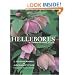 Hellebores: A Comprehensive Guide