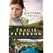 Christian mystery, romance, Christmas, & other book & DVD finds