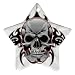Star Ornament (2-Sided) of Tribal Skull (Ancient Tattoo, Art, Flaming, Flames, Chinese, Fake, Gothic, Native American)