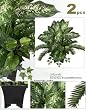TWO Pre-Potted 22" Cycas Pothos Ivy Artificial Silk Plants for Home Decoration