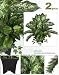 TWO Pre-Potted 22" Cycas Pothos Ivy Artificial Silk Plants for Home Decoration