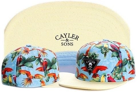 Win Cap : Hot Style A05 Cayler &amp; Sons Weezy Cap Baseball Snapback Hat