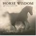 Horse Wisdom: Life's Lessons From the Saddle