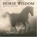 Horse Wisdom: Life's Lessons From the Saddle
