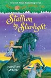 Magic Tree House #49: Stallion by Starlight (A Stepping Stone Book(TM))
