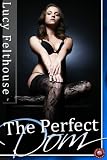 The Perfect Dom (BDSM Erotica)