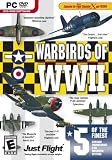 Warbirds of WWII