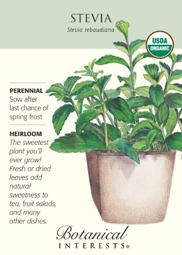 Stevia Certified Organic Seeds