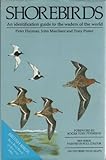 Shorebirds