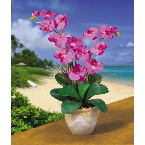 Double Stem Phalaenopsis Silk Orchid Arrangement