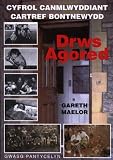 Drws agored : canmlwyddiant cartref Bontnewydd