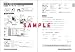 Nihongo So-Matome N3 Vocabulary
