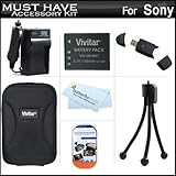 Must Have Accessory Kit For Sony Cyber-Shot DSC-W530 Digital Camera Include ....