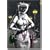 Icons. Pussy Cats (Taschen Icons)